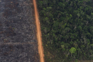 What is leading to global warming?